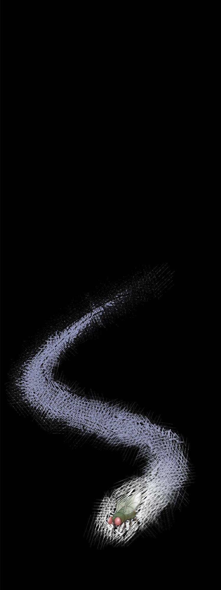 Cường Giả Đến Từ Trại Tâm Thần - Chapter 203 - Page 17