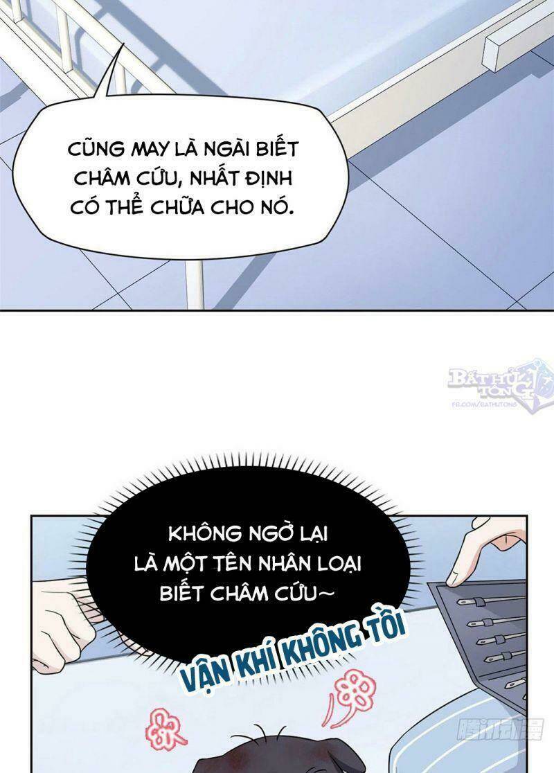 Cường Giả Đến Từ Trại Tâm Thần - Chapter 21 - Page 30