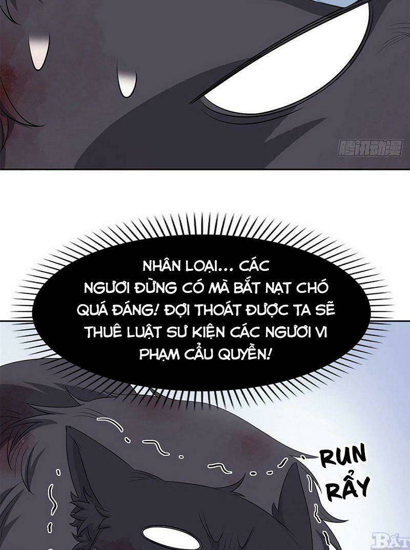 Cường Giả Đến Từ Trại Tâm Thần - Chapter 23 - Page 12