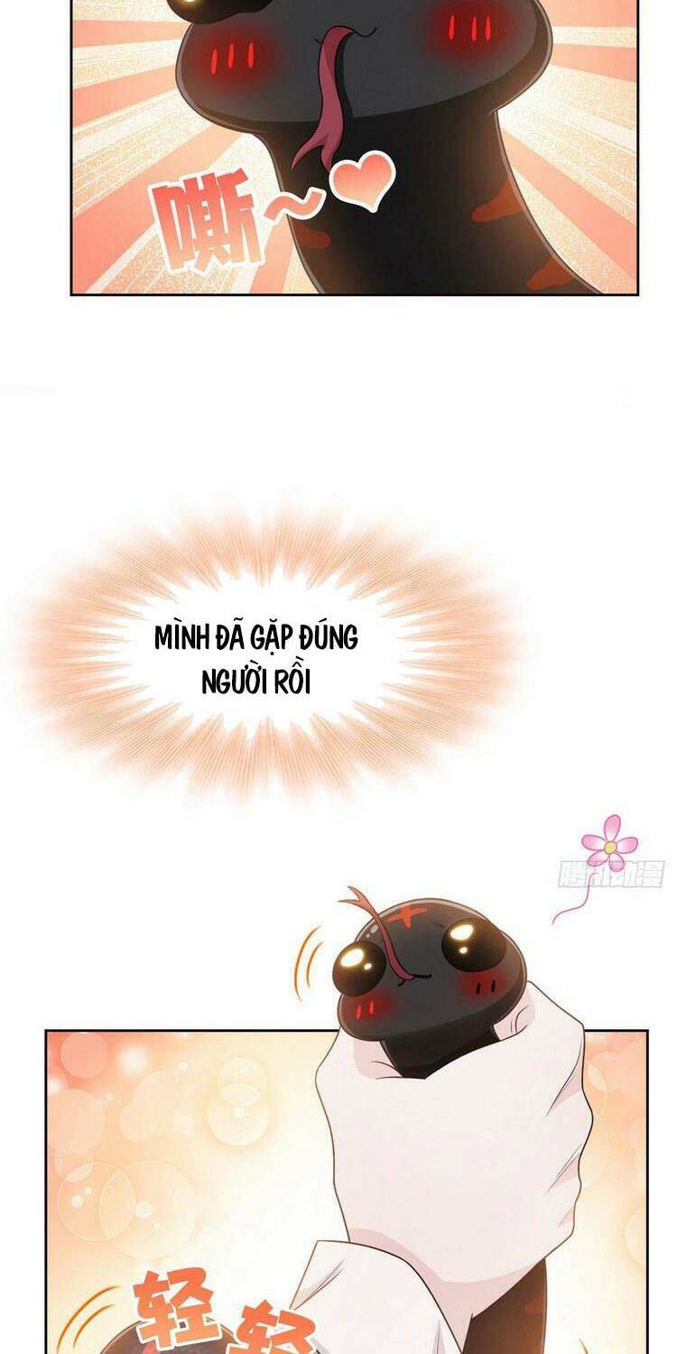 Cường Giả Đến Từ Trại Tâm Thần - Chapter 32 - Page 34