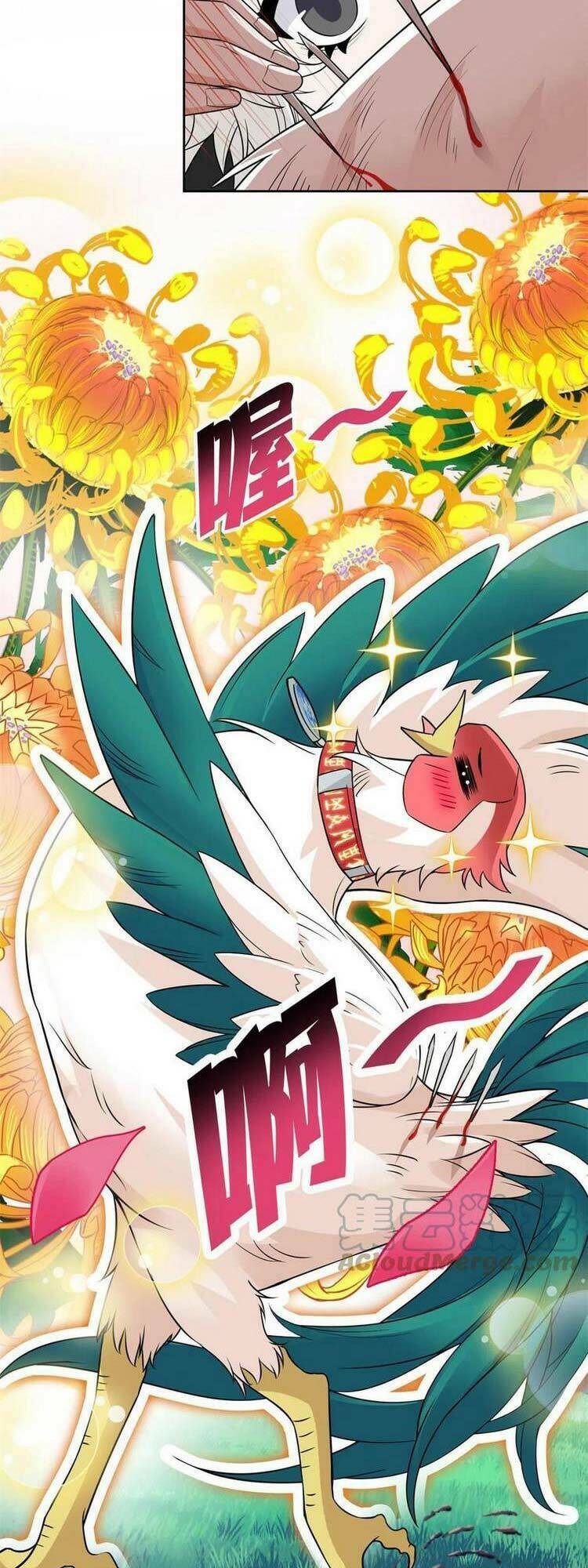 Cường Giả Đến Từ Trại Tâm Thần - Chapter 83 - Page 17