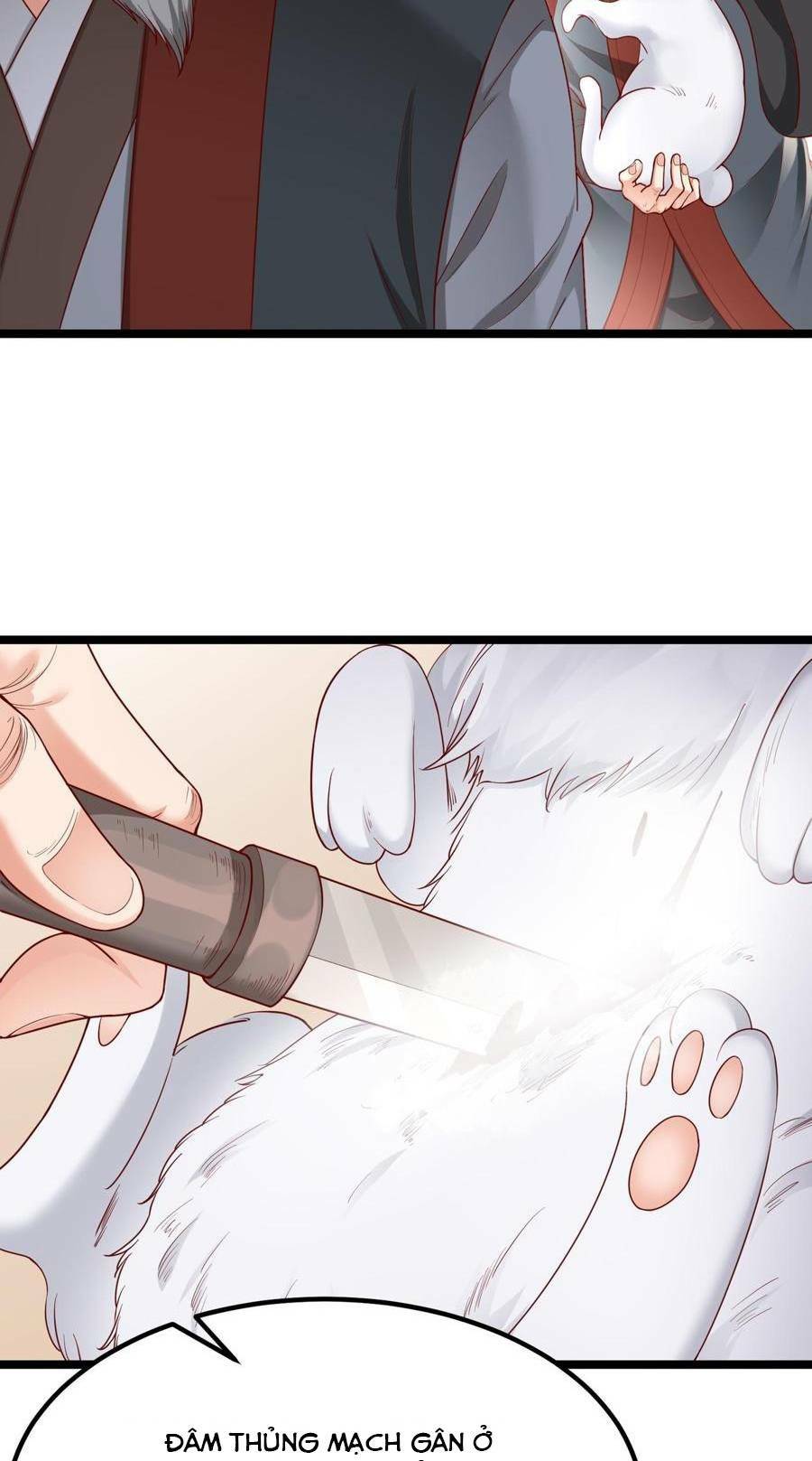 Đại Tần Ta Con Trai Tần Thủy Hoàng Giết Địch Thăng Cấp Thành Thần - Chapter 11 - Page 65