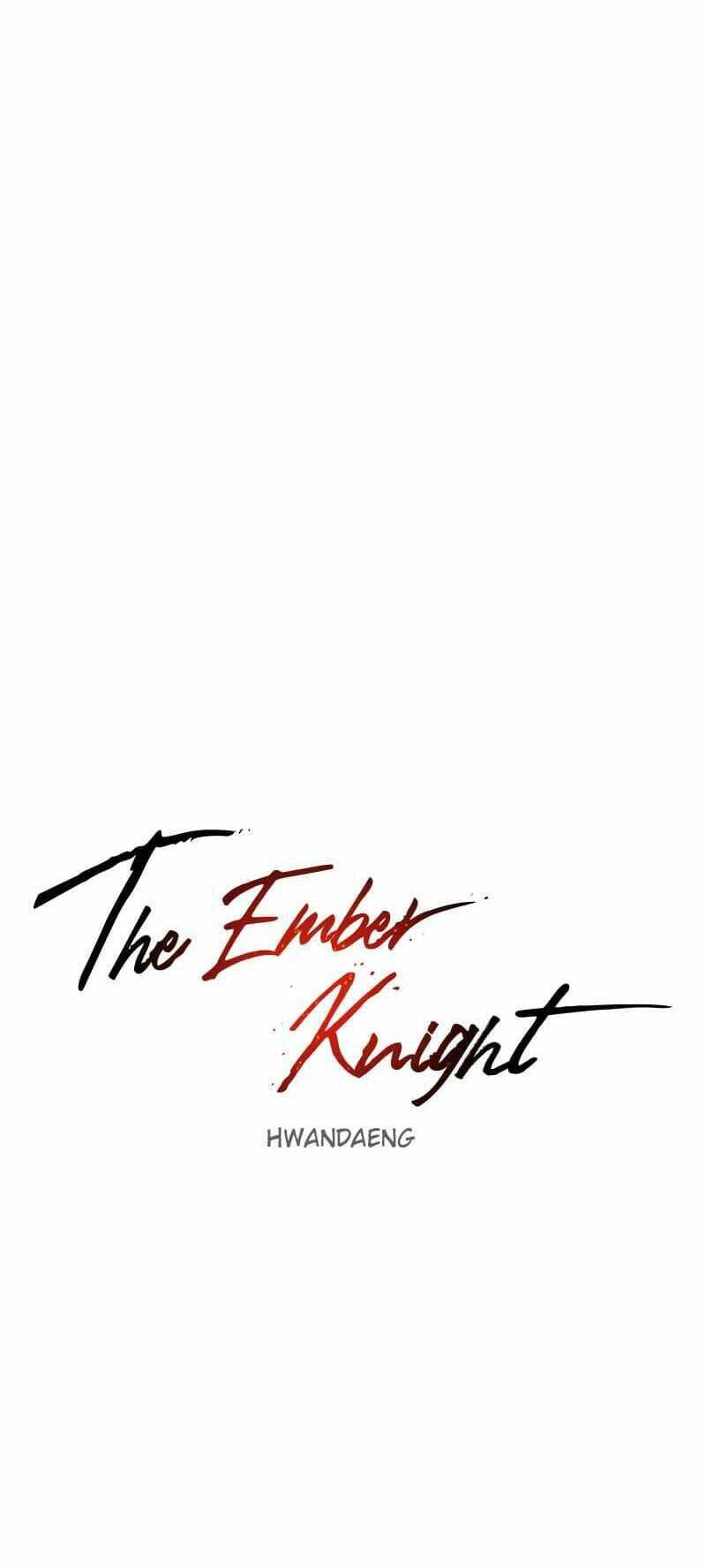 Kỵ Sĩ Báo Thù - Chapter 29 - Page 12