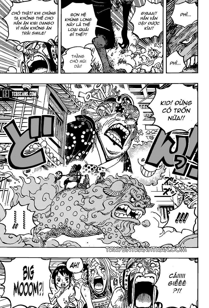 Đảo Hải Tặc - Chapter 1011 - Page 14