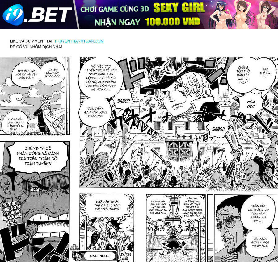 Đảo Hải Tặc - Chapter 1054 - Page 15