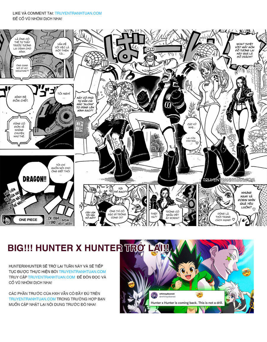 Đảo Hải Tặc - Chapter 1064 - Page 13