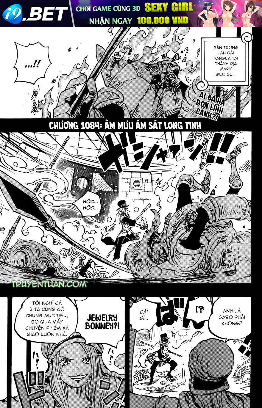 Đảo Hải Tặc - Chapter 1084 - Page 3