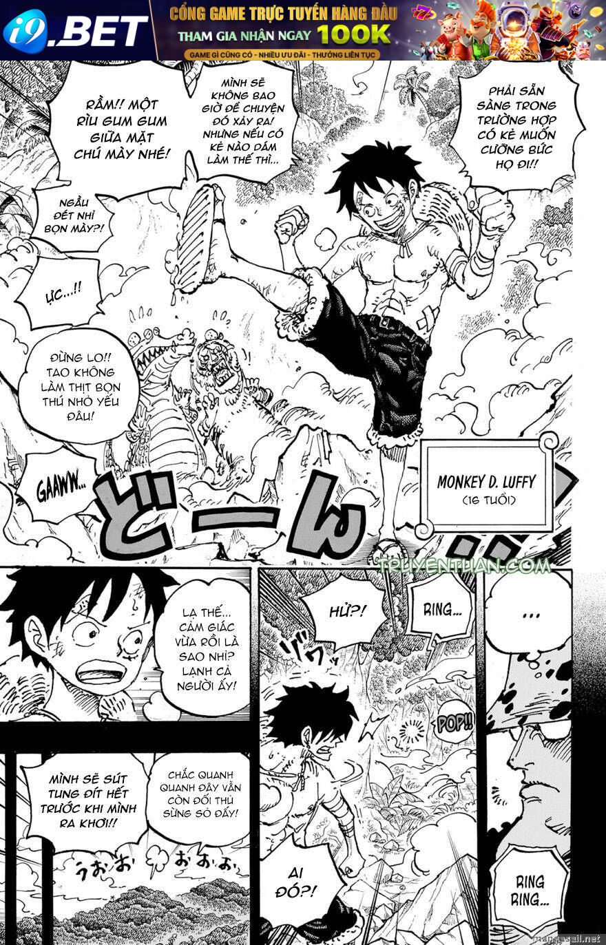 Đảo Hải Tặc - Chapter 1101 - Page 5