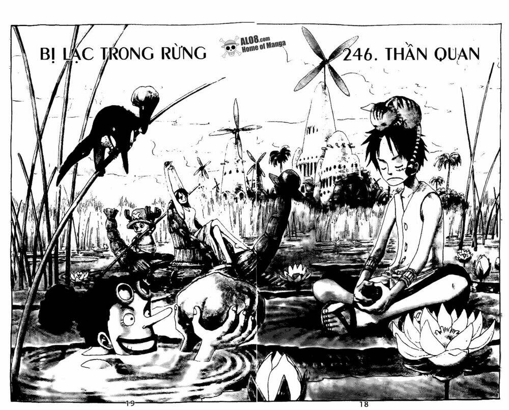 Đảo Hải Tặc - Chapter 246 - Page 3