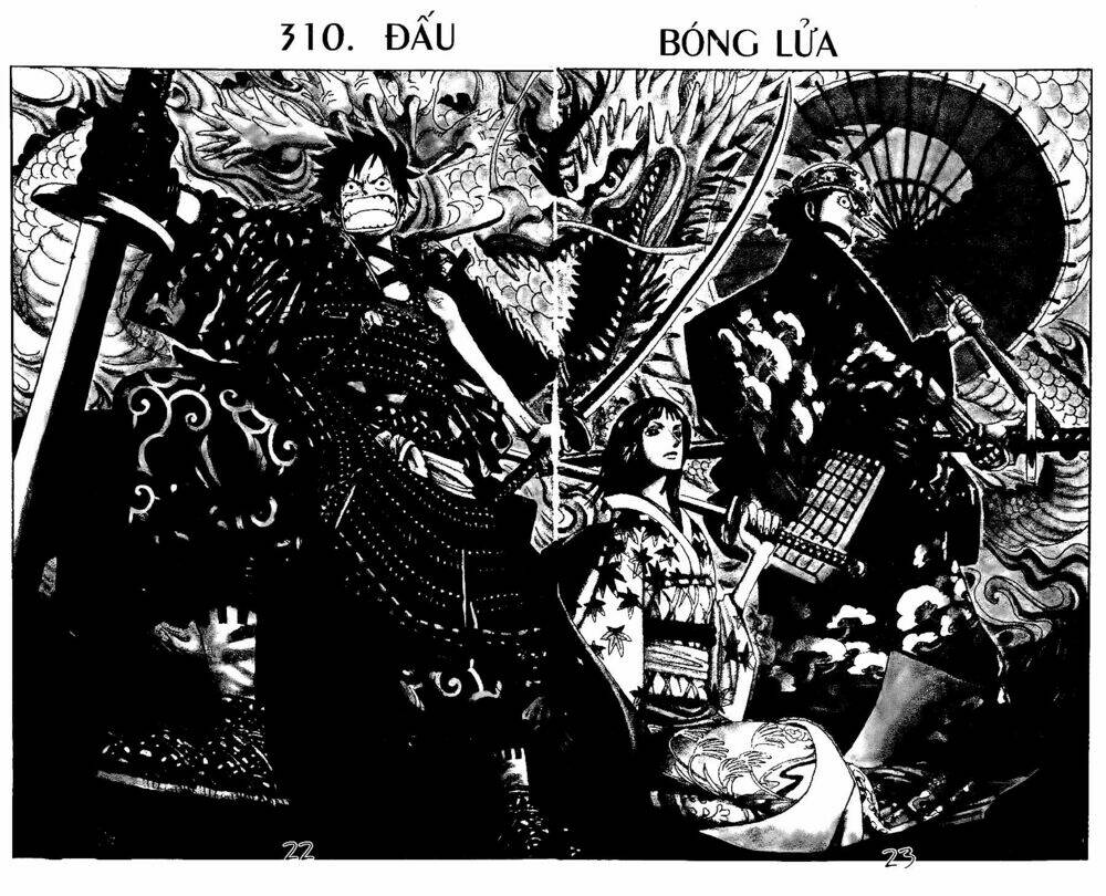 Đảo Hải Tặc - Chapter 310 - Page 3