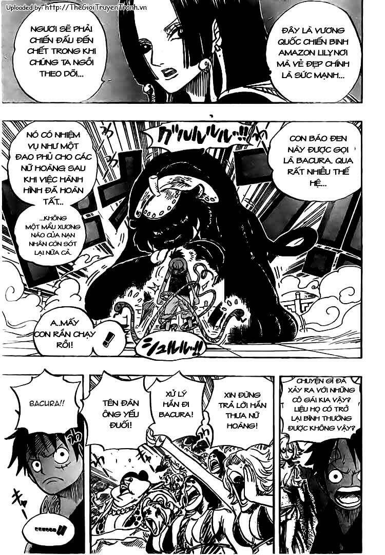 Đảo Hải Tặc - Chapter 518 - Page 12