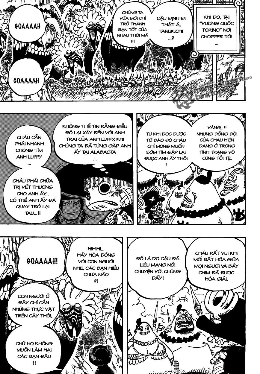 Đảo Hải Tặc - Chapter 591 - Page 16