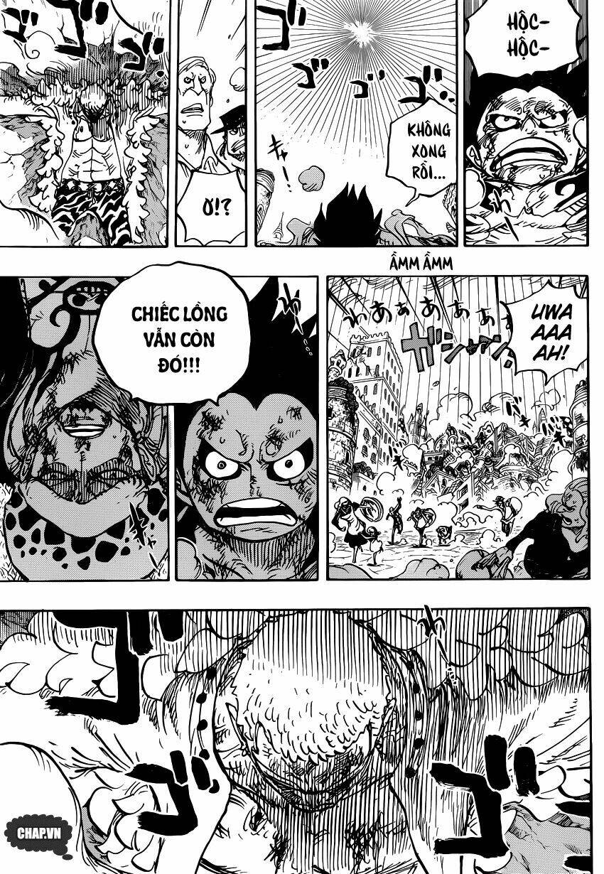 Đảo Hải Tặc - Chapter 786 - Page 4