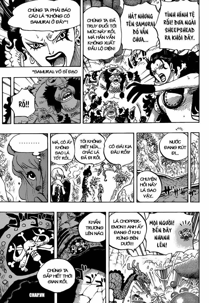 Đảo Hải Tặc - Chapter 795 - Page 8