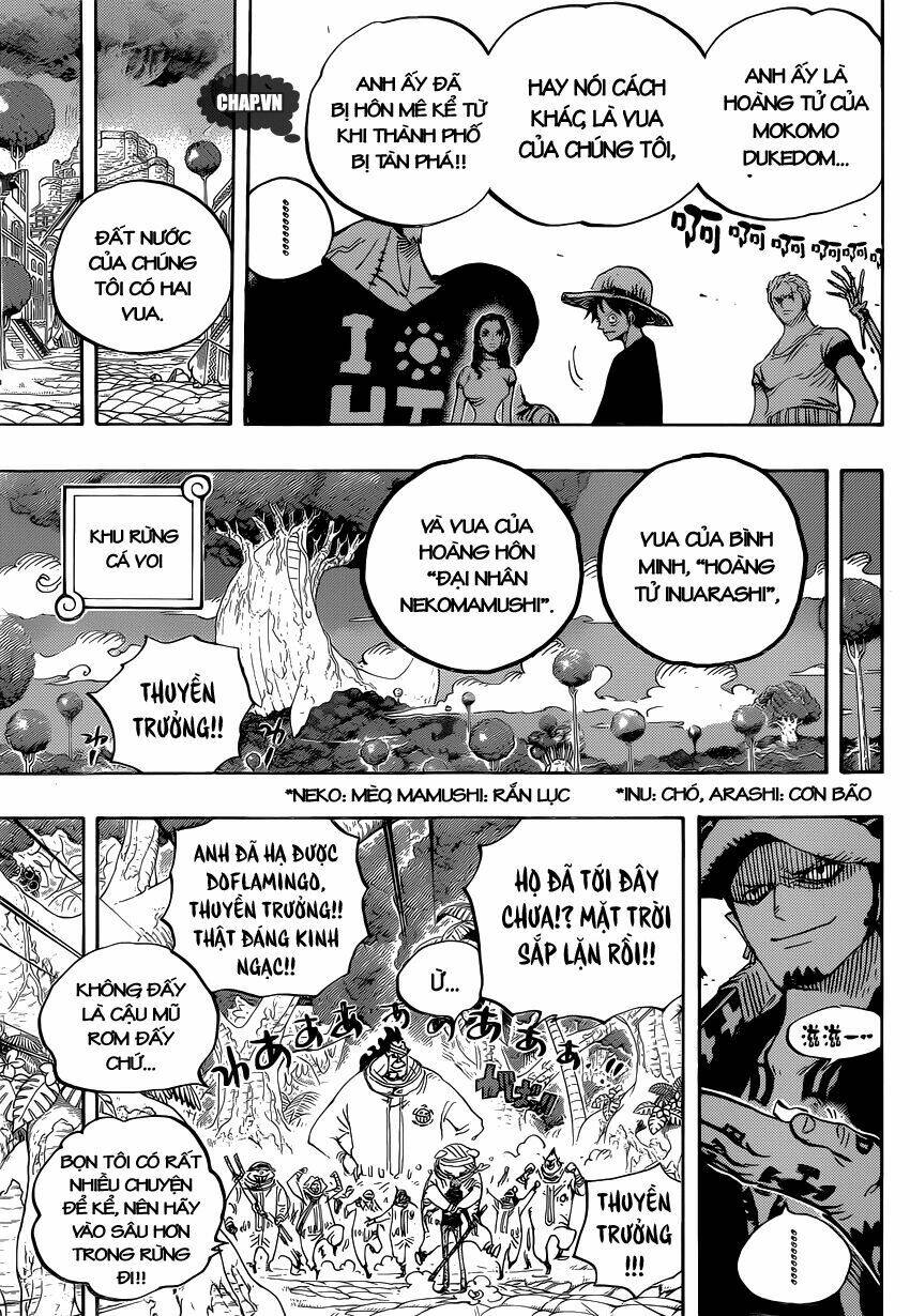 Đảo Hải Tặc - Chapter 807 - Page 13