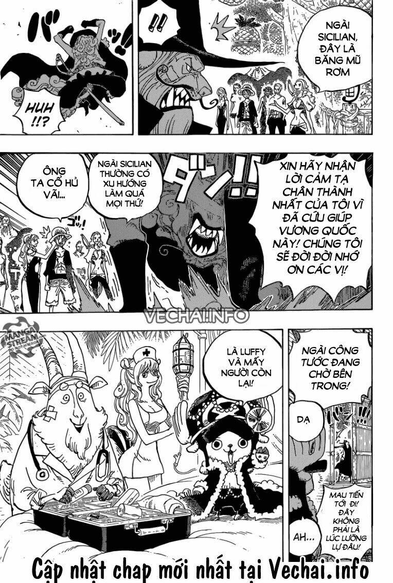 Đảo Hải Tặc - Chapter 808 - Page 14