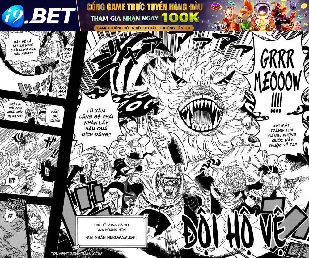 Đảo Hải Tặc - Chapter 809 - Page 16