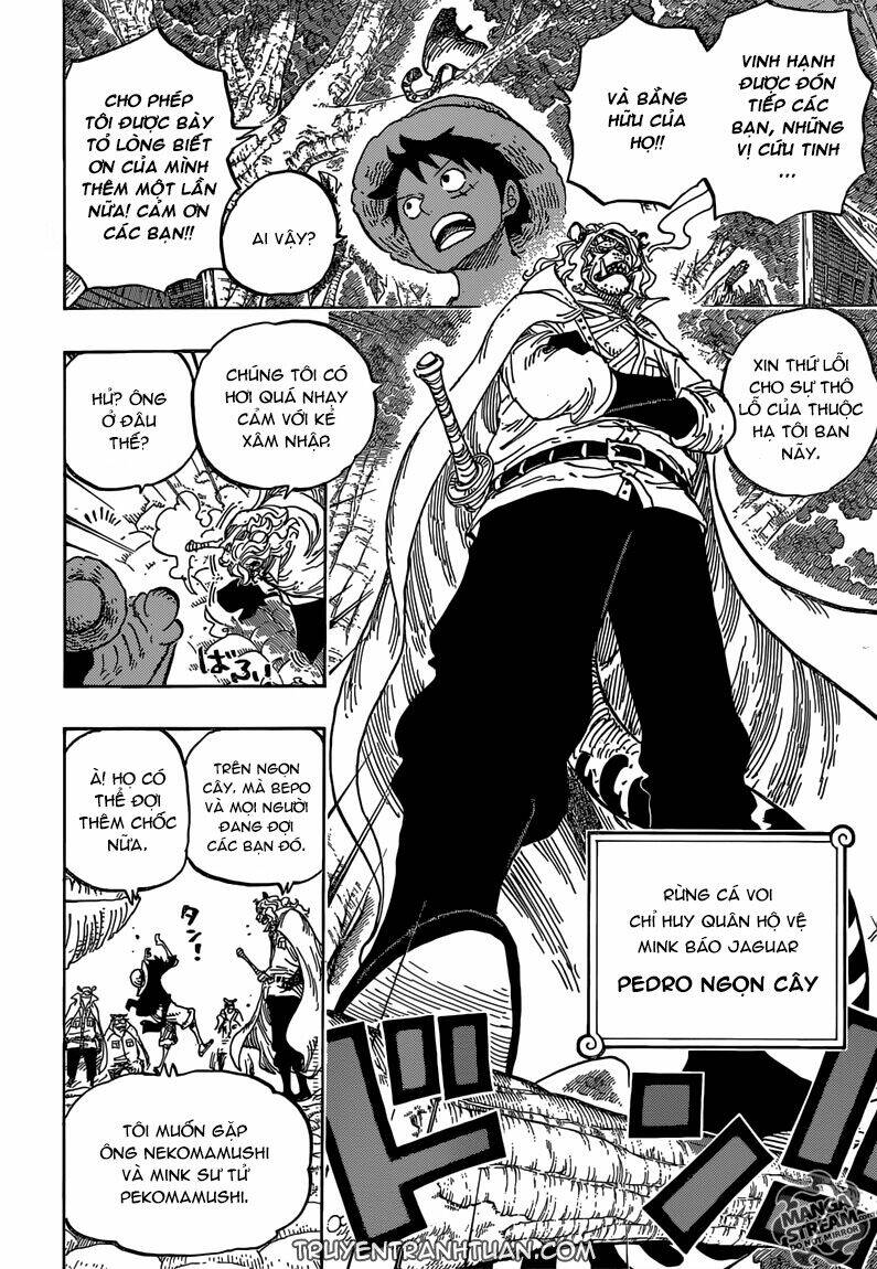 Đảo Hải Tặc - Chapter 814 - Page 12