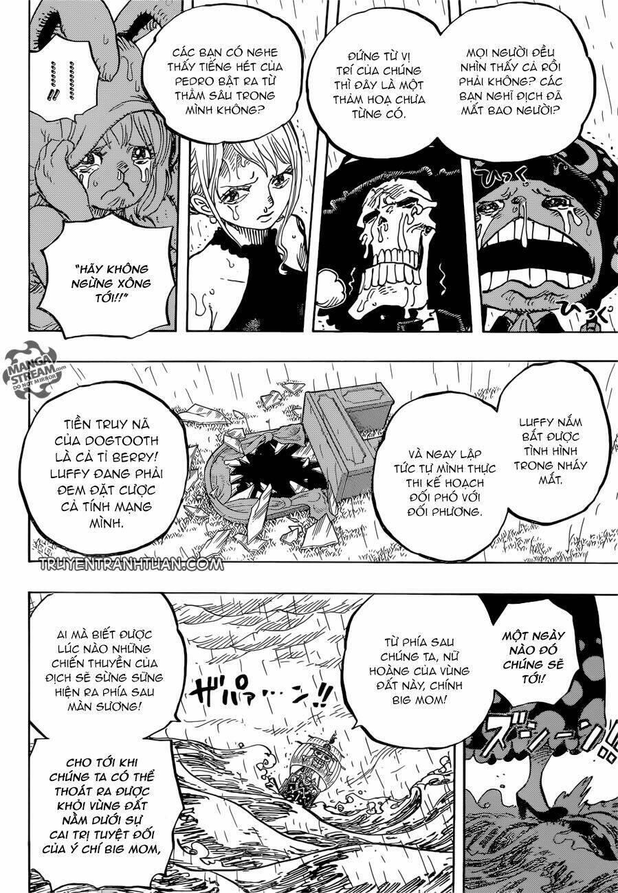 Đảo Hải Tặc - Chapter 879 - Page 3