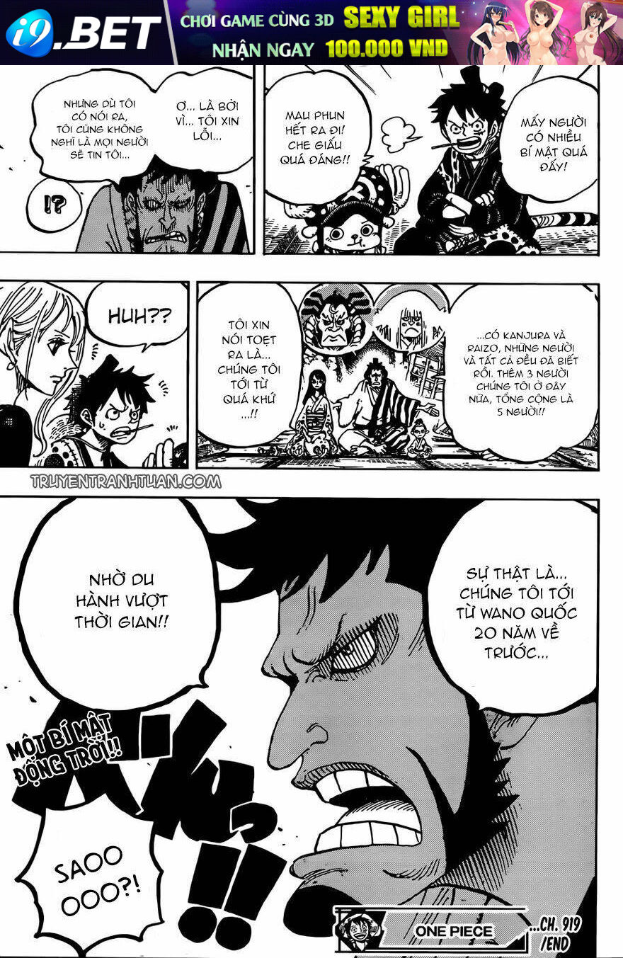 Đảo Hải Tặc - Chapter 919 - Page 14