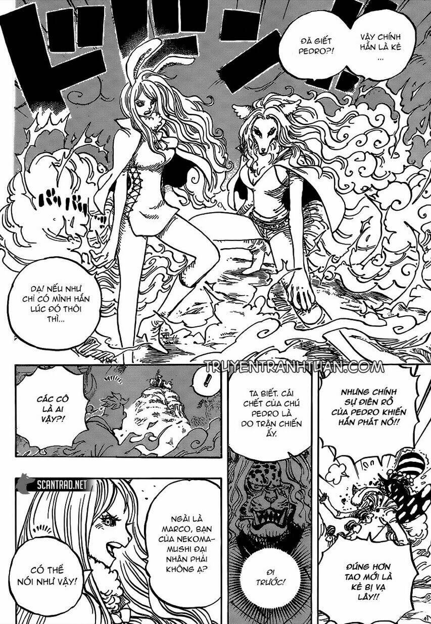 Đảo Hải Tặc - Chapter 995 - Page 4