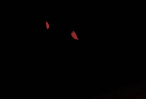 Serena - Chapter 18 - Page 37