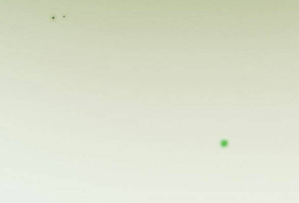 Serena - Chapter 24.1 - Page 20