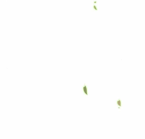 Serena - Chapter 38.1 - Page 18