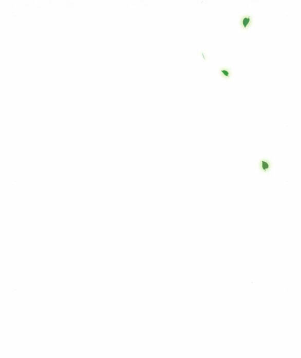 Serena - Chapter 38.2 - Page 35