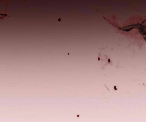 Serena - Chapter 43.2 - Page 16