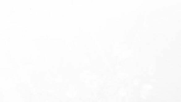 Serena - Chapter 43.2 - Page 29