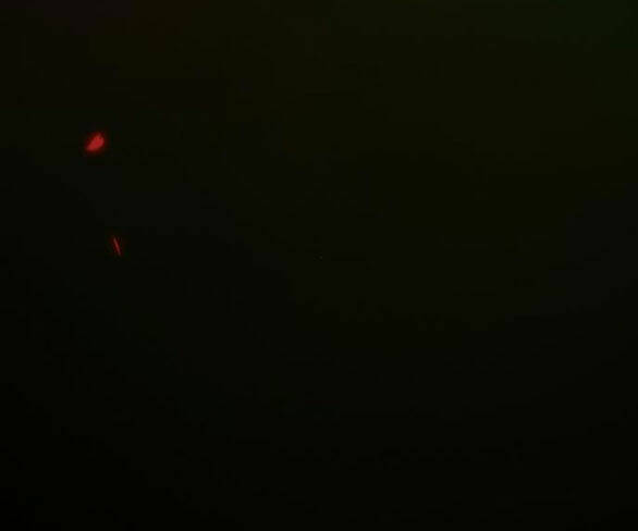 Serena - Chapter 43.2 - Page 58