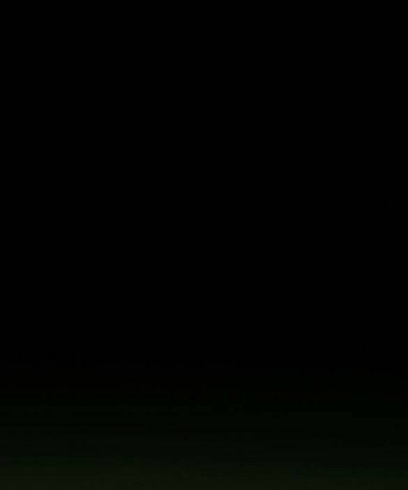 Serena - Chapter 44.1 - Page 23