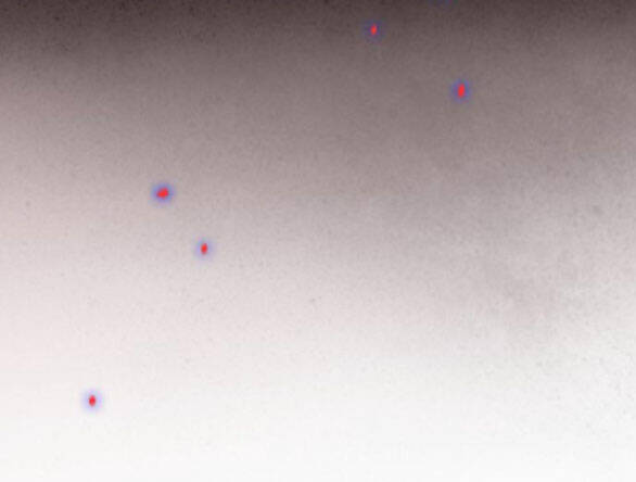 Serena - Chapter 44.2 - Page 71