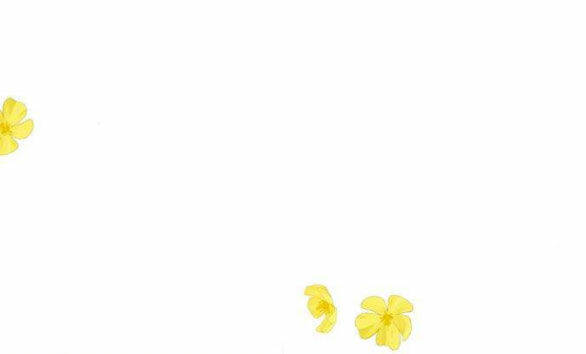 Serena - Chapter 46.2 - Page 40