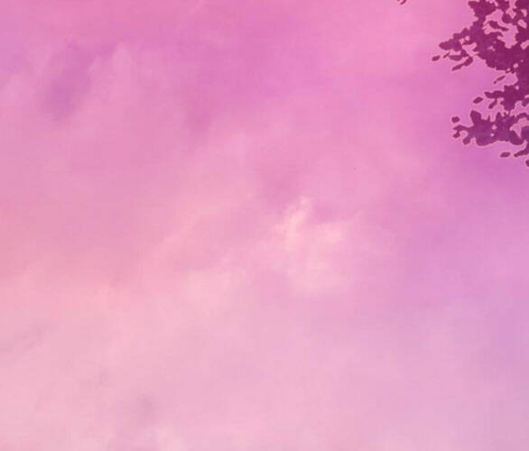 Serena - Chapter 47.2 - Page 43