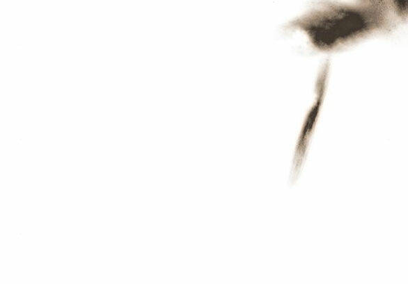 Serena - Chapter 48.2 - Page 61