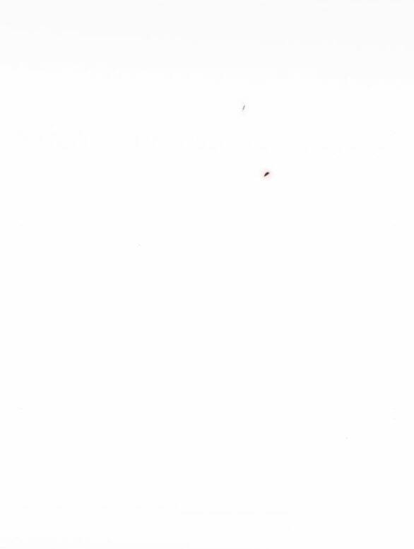 Serena - Chapter 51.1 - Page 108