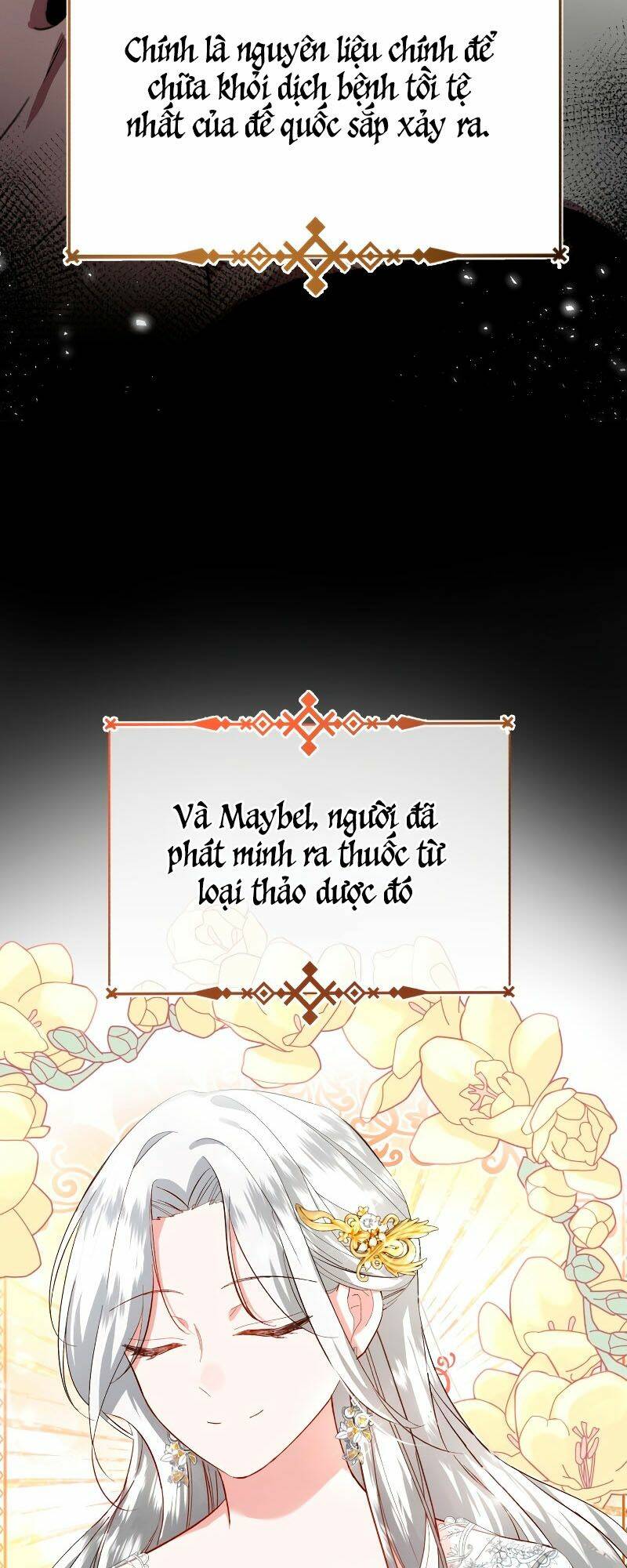 Tôi Sẽ Sống Thử Cuộc Đời Của Ác Nữ Chapter 9 - Trang 12