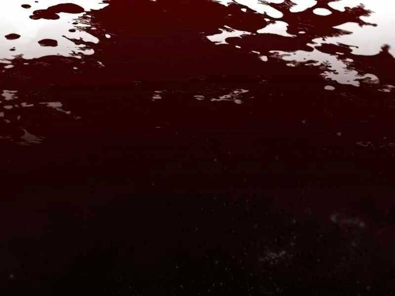 Thiên Quỷ Chẳng Sống Nổi Cuộc Đời Bình Thường - Chapter 33 - Page 206