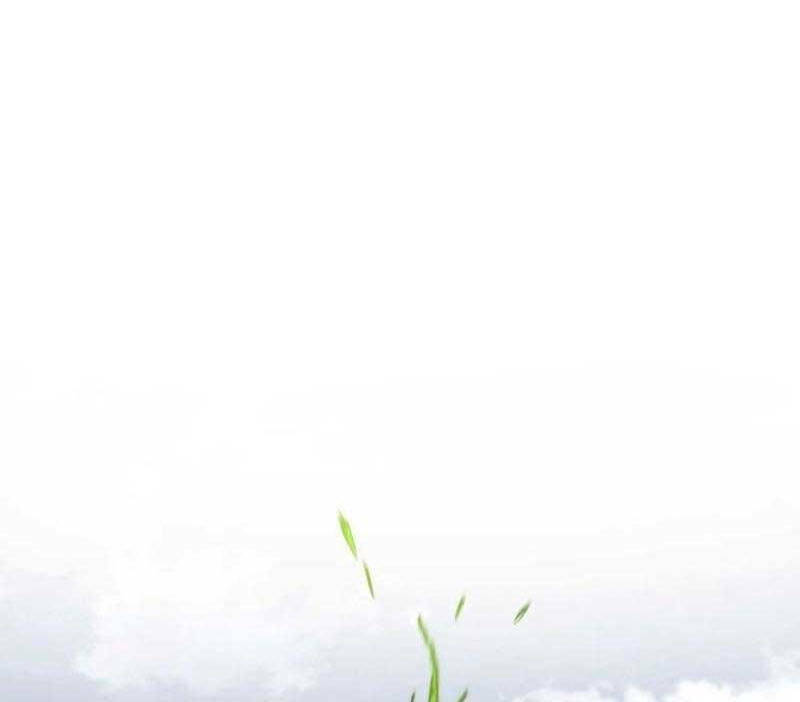 Đồ Long - Chapter 66 - Page 26