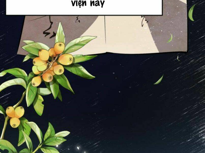 Đệ Nhất Võ Sư, Baek Cao Thủ - Chapter 16 - Page 4