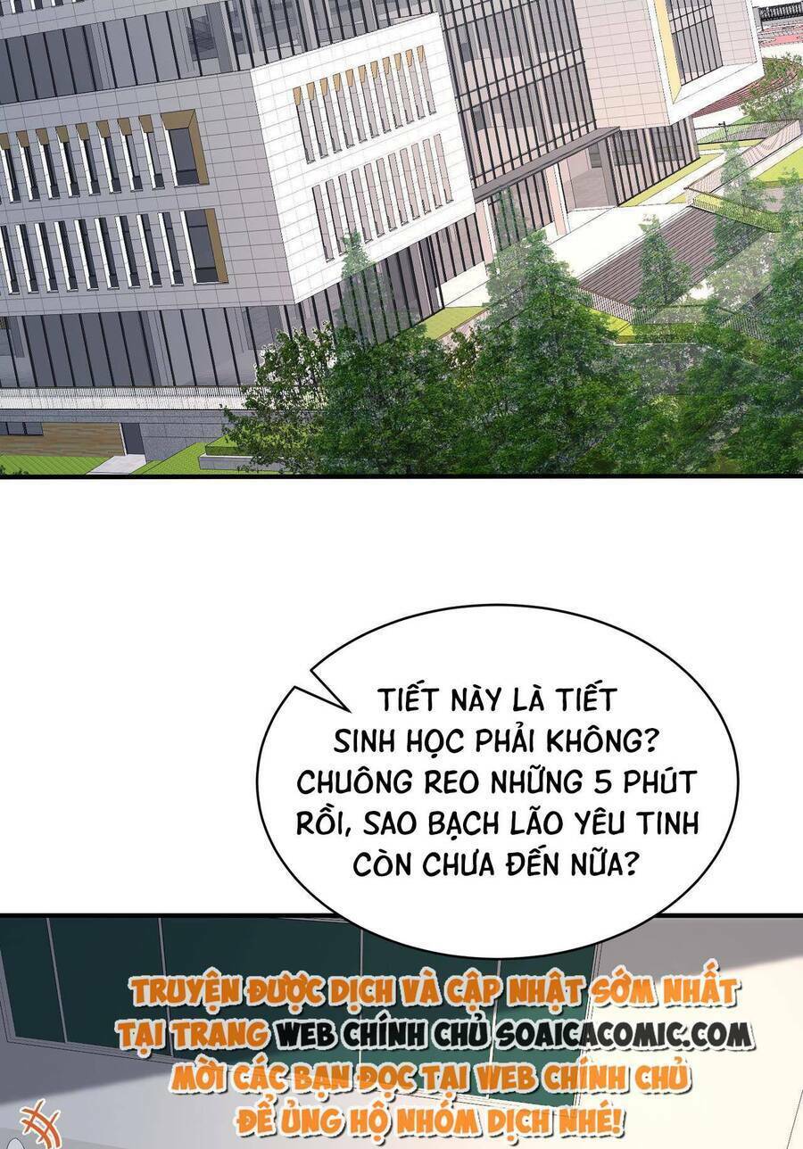 Thiên Kim Toàn Năng Đại Tài - Chapter 26 - Page 41