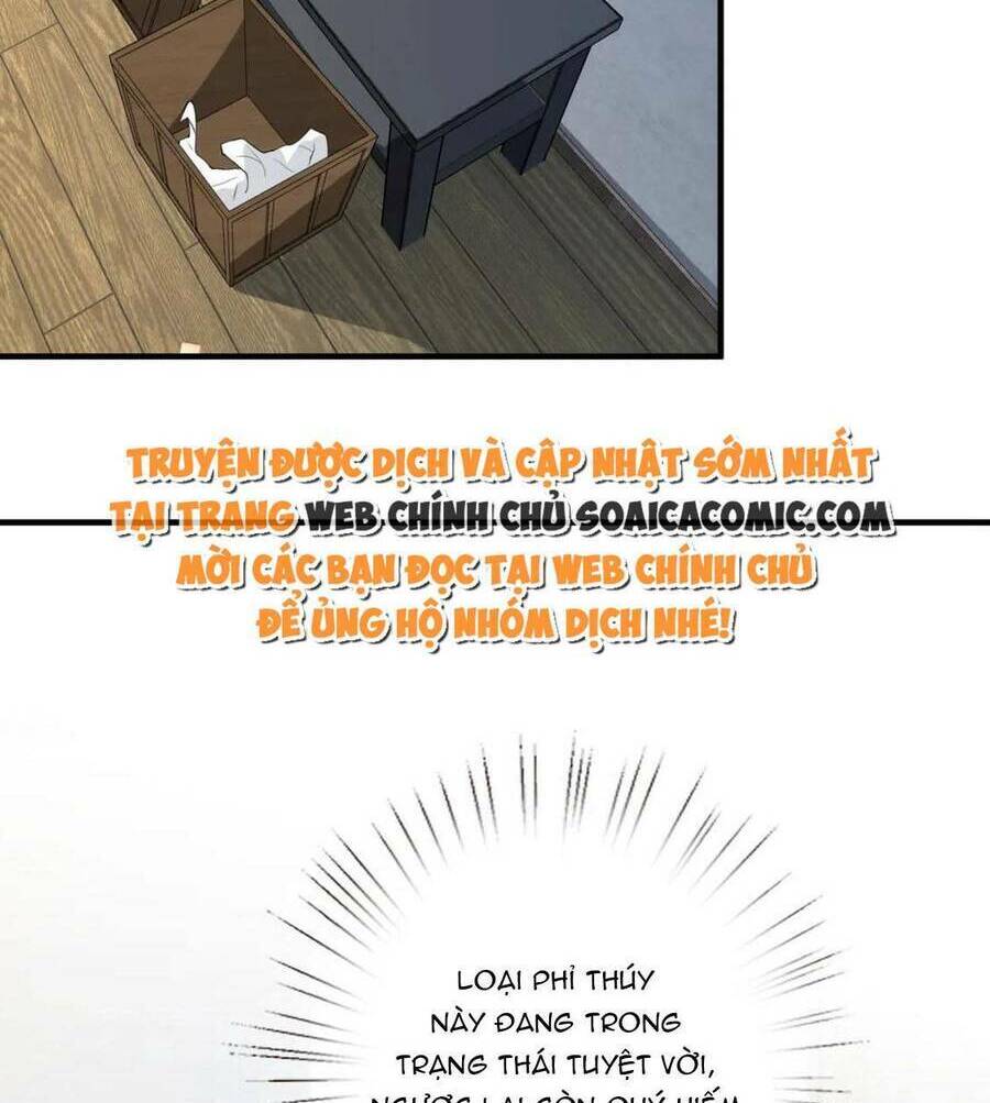 Thiên Kim Toàn Năng Đại Tài - Chapter 75 - Page 29