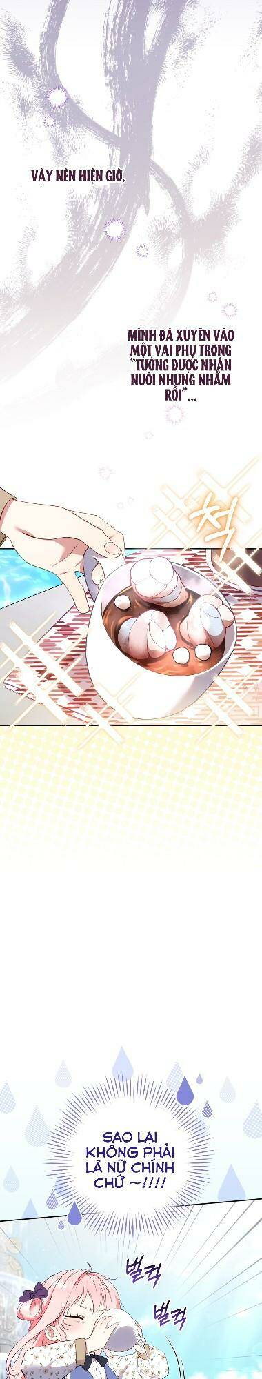 Tôi Đang Được Nuôi Dưỡng Bởi Những Kẻ Phản Diện - Chapter 1 - Page 27
