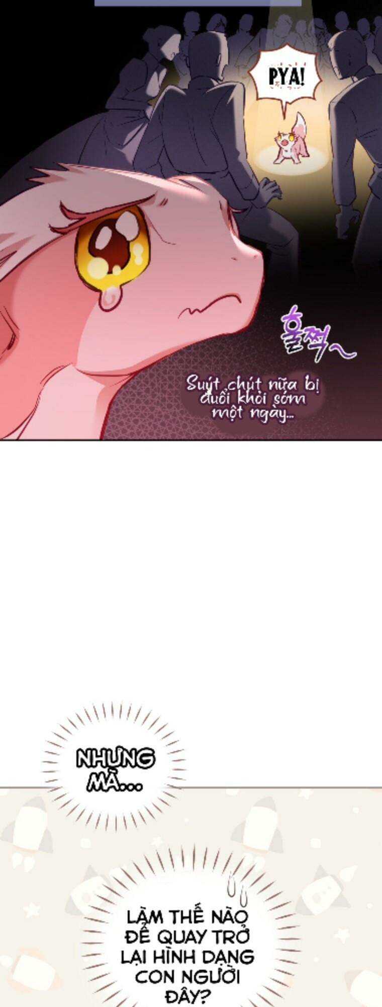 Tôi Đang Được Nuôi Dưỡng Bởi Những Kẻ Phản Diện - Chapter 1 - Page 63