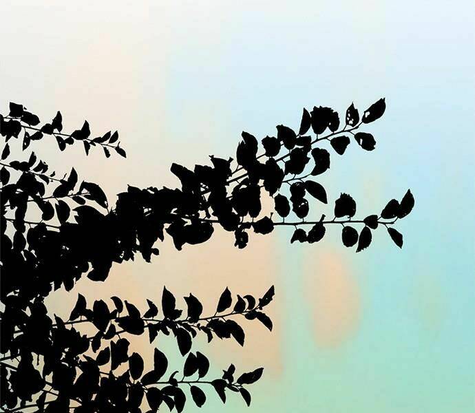 Người Đàn Ông Thực Thụ Chapter 52 - Trang 60