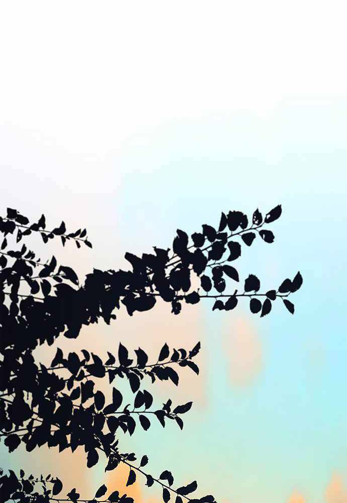 Người Đàn Ông Thực Thụ Chapter 86 - Trang 99