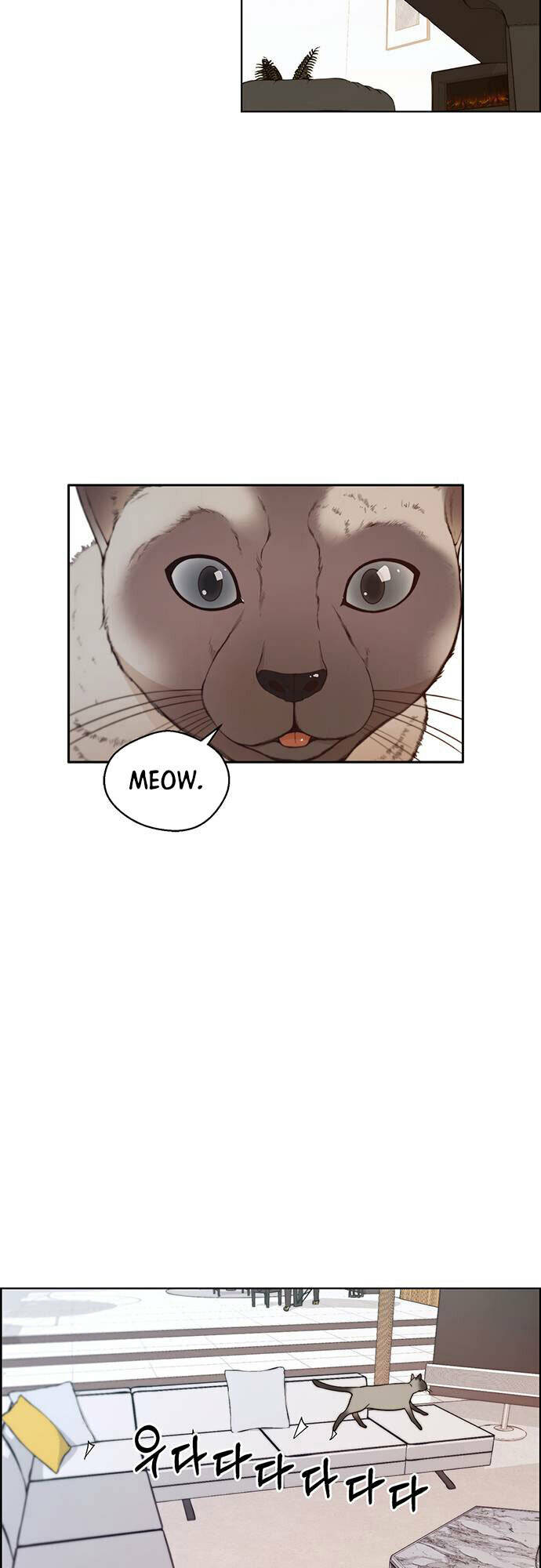 Người Đàn Ông Thực Thụ Chapter 90 - Trang 46