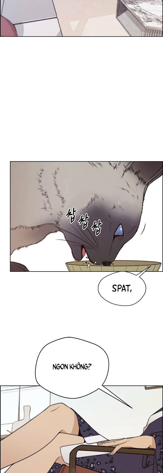 Người Đàn Ông Thực Thụ Chapter 90 - Trang 47